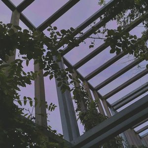 Серенада одиночеству и тебе