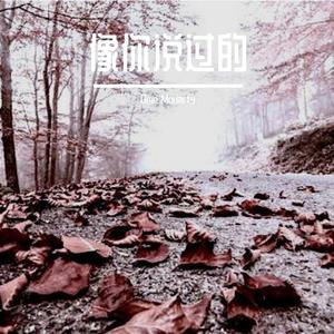 像你说过的（翻自 本兮）