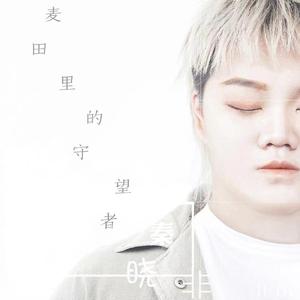 没有候鸟的南方