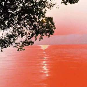 663（Prod by Lil Siren&ZS beatz)