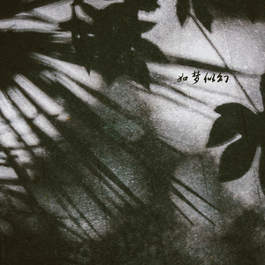 空谷幽兰 (竖琴)