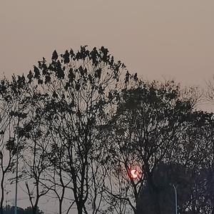 夏季限定.（Prod by Lisure）