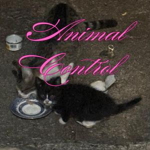 Animal Control