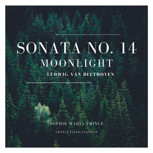 Sonata No. 14 "Moonlight" in C-Sharp Minor, Op. 27 No. 2: I. Adagio Sostenuto (Gentle Piano)