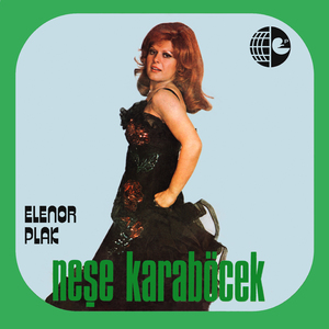 Anlatılmaz Bin Dert İle