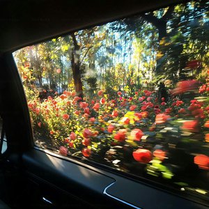 因为你，我热爱每个平凡星期一