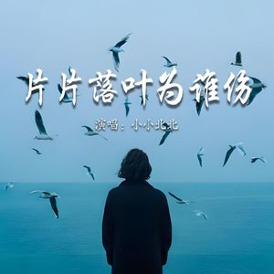 片片落叶为谁伤