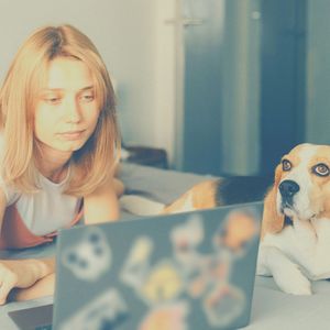 柔和的星期六早上时刻