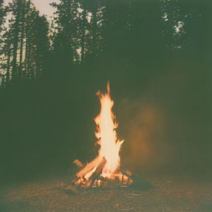 也许是时候该放手了