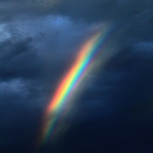 Ylang Ylang (Slowed & Reverb)