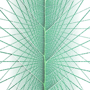 Moksha (Craft Remix)