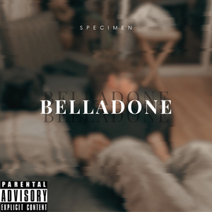 Belladone
