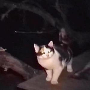 I'm just glad we're together