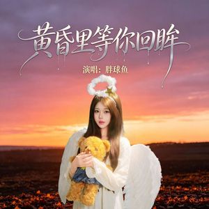 黄昏里等你回眸