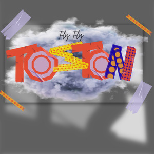 Toston