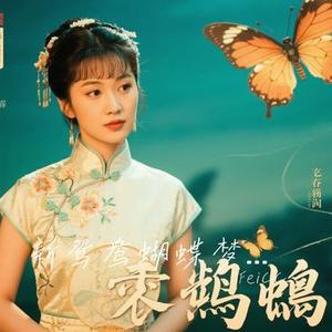 新鸳鸯蝴蝶梦 (R&B版)(Cover 黄安)