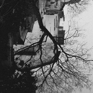 全是爱 (日语亲爹版)