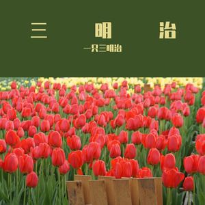 落日红霞_。。。