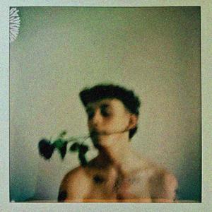 Polaroids