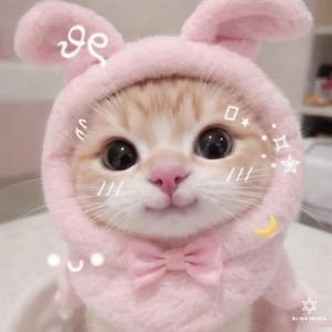 Text Me When It’s Midnight