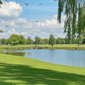 黄昏的温馨时光