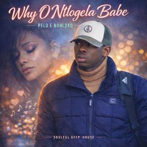 Why o ntlogela