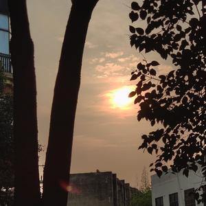 一个不会rapper的reader