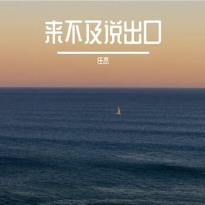 来不及说出口