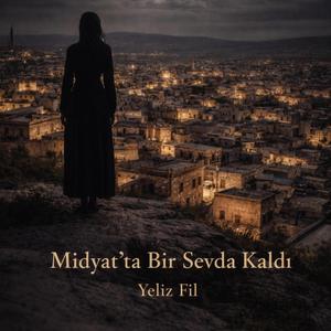 Midyat'ta Bir Sevda Kaldı