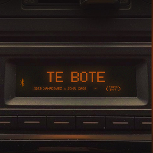 Te Bote (Turreo Edit) (Remix)