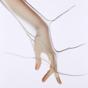 Hedonic Setpoint 21 (Short Version)