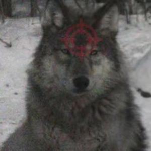 she never felt loved