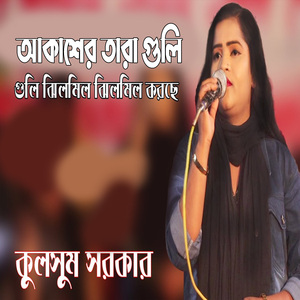 আকাশের তারা গুলি ঝিলমিল ঝিলমিল করছে