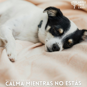 Calma para Patas Inquietas