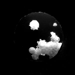 张叶蕾-你回头看 remix by unknowtens（U N K N O W. T E N S remix）