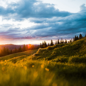 Old Green Hills