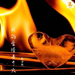 我的爱情着了火