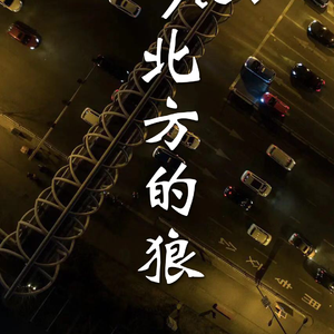 来自太原北方的狼