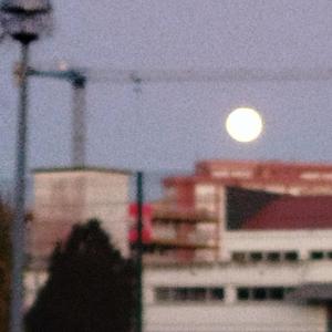 vida (feat. muitobomloopar)