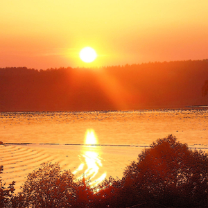 В Уютный Час