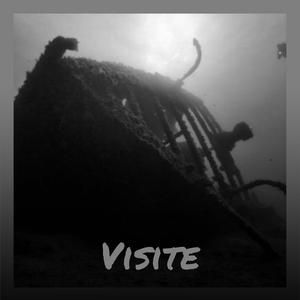 Visite