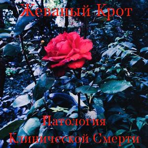 Смертельная Проституция