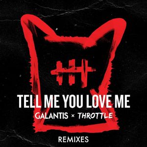 Tell Me You Love Me (Dropgun Extended Remix)