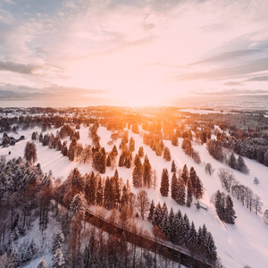 In a Gingerbread House
