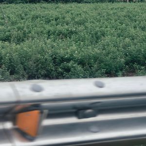 My journey continues