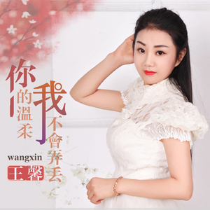 你的温柔我不会弄丢 (DJ版)