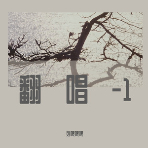 No Surprises (Covered by Liu.)