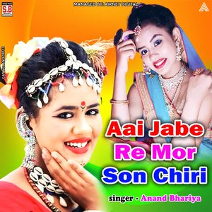 Aai Jabe Re Mor Son Chiri