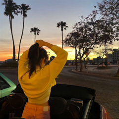 从此山南水北再无相逢 (DJ版)