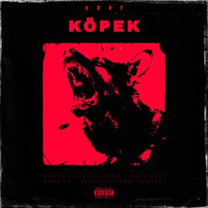 Köpek